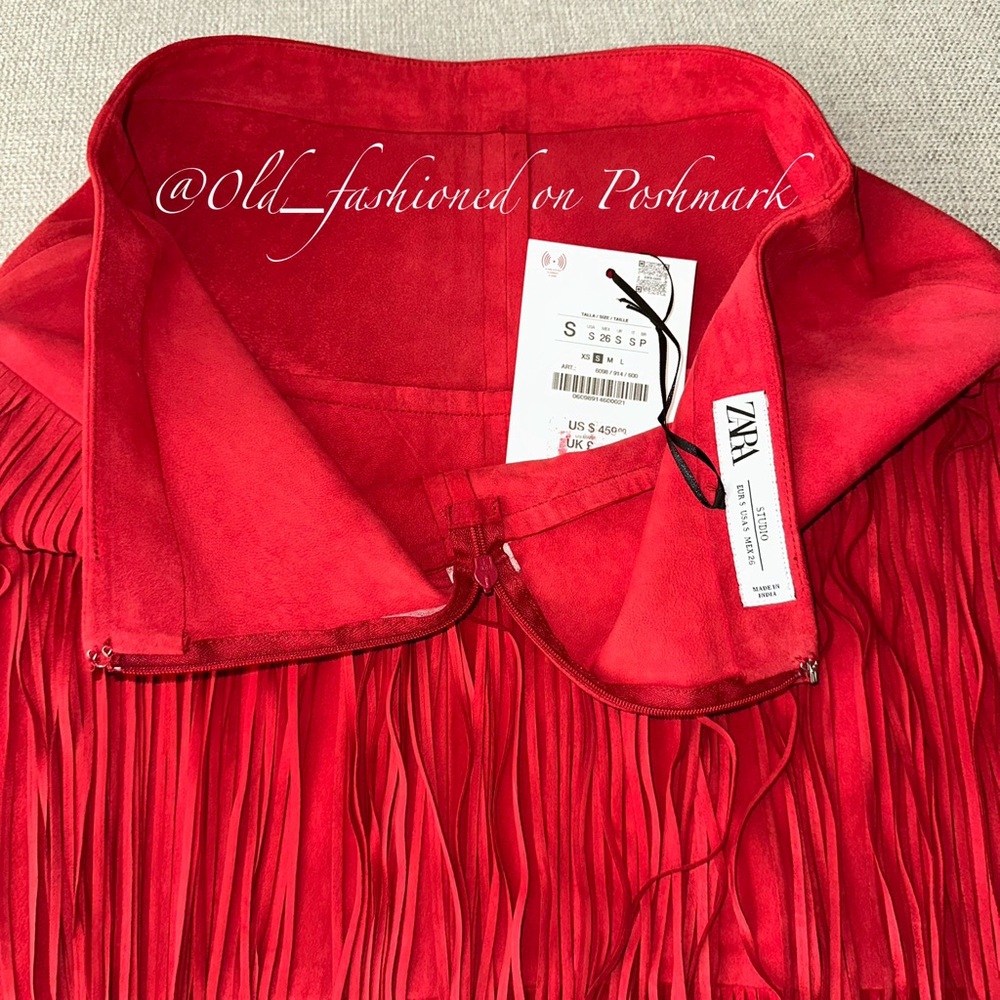 ZARA Suede Fringe Midi Skirt - Price Firm - Picture 12 of 13